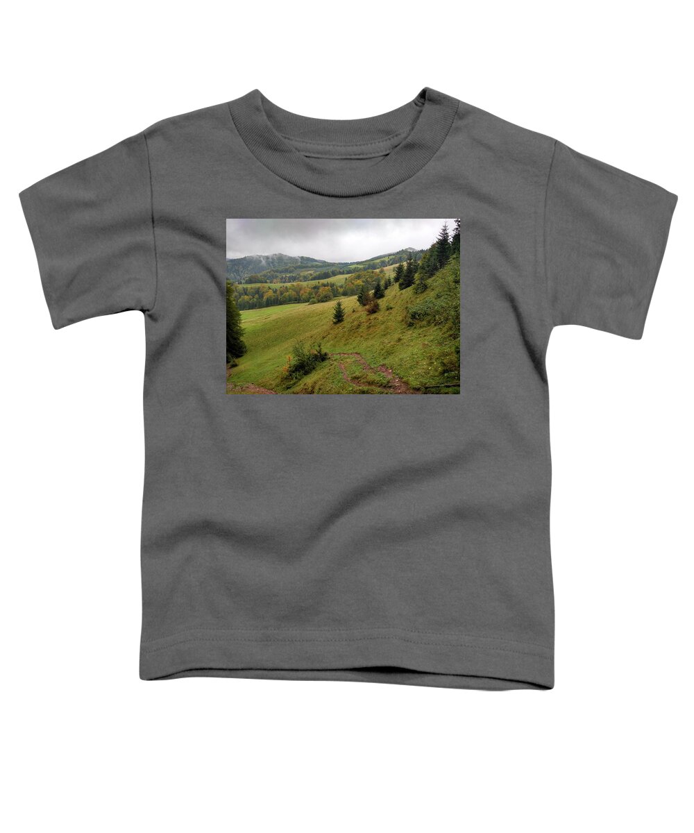 Pieniny Toddler T-Shirt featuring the photograph Highlands landscape in Pieniny by Arletta Cwalina