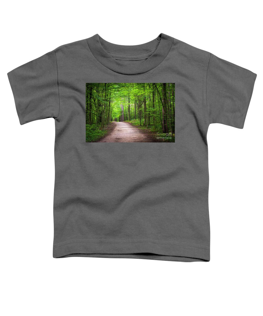 Trail Toddler T-Shirt featuring the photograph Hiking trail in green forest by Elena Elisseeva