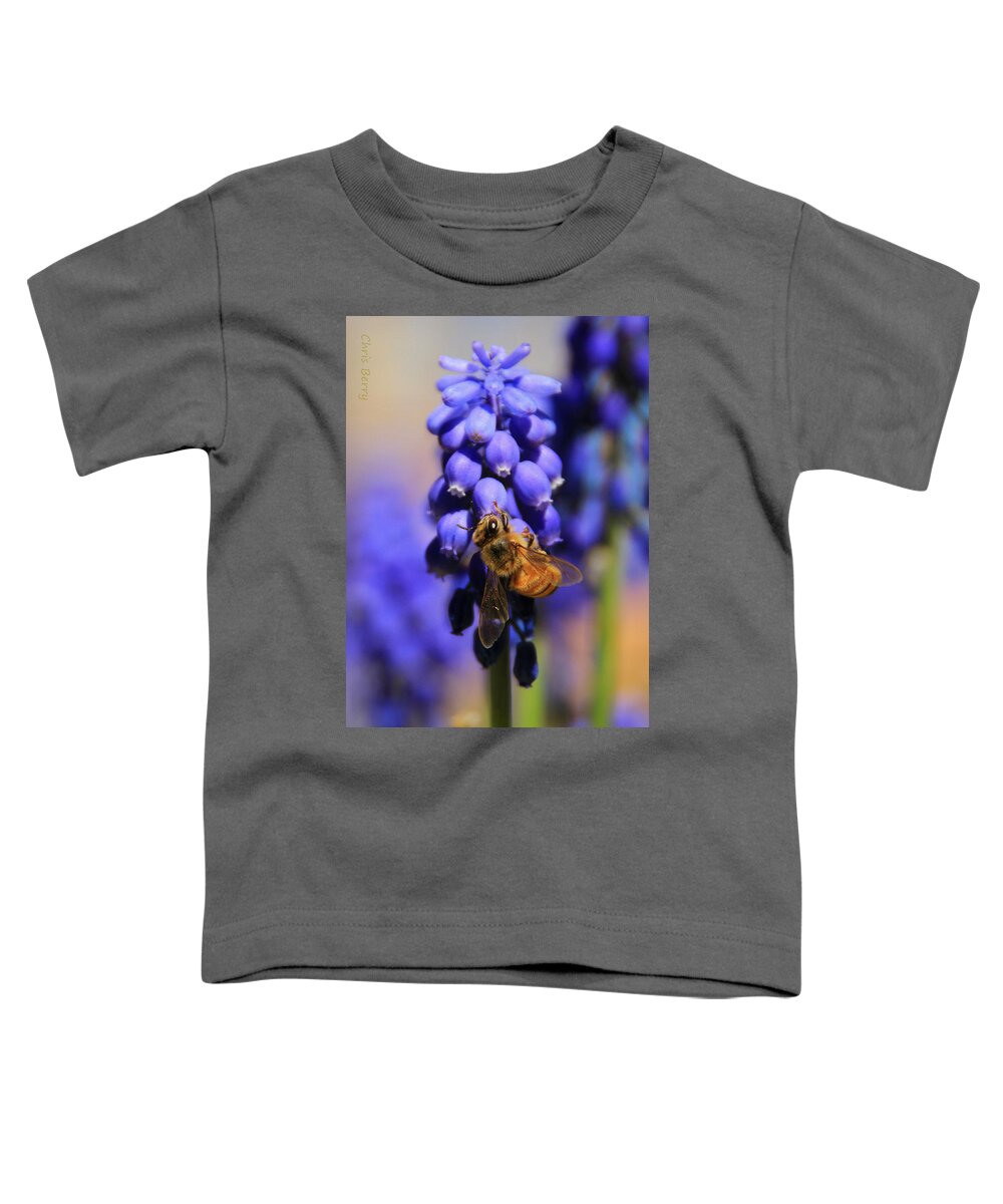 Honeybee Toddler T-Shirt featuring the photograph Honeybee in a Sea of Blue by Chris Berry