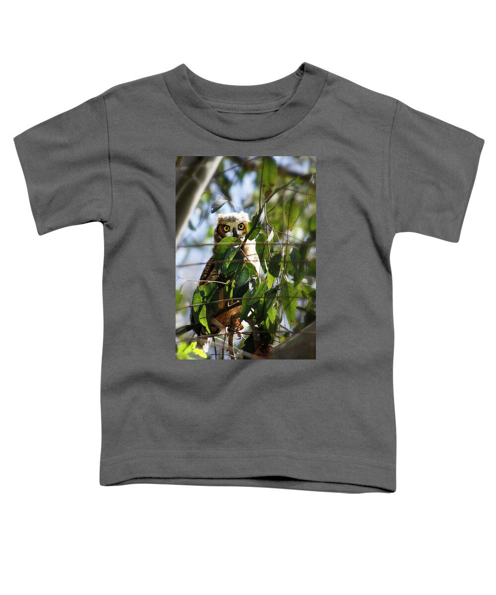 Owl Toddler T-Shirt featuring the photograph Hoo Goes There? by Diana Haronis