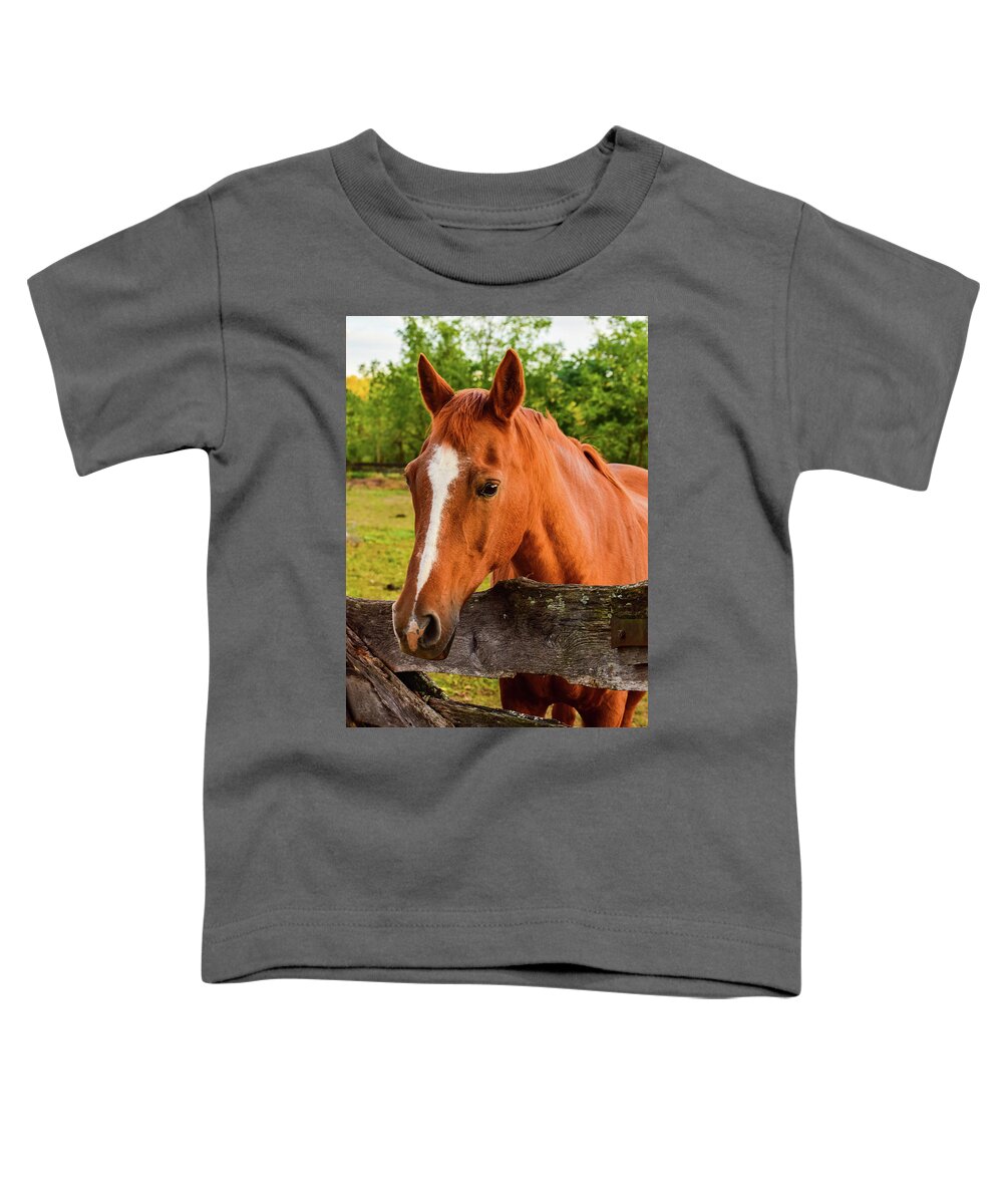 Horse Toddler T-Shirt featuring the photograph Horse Friends by Nicole Lloyd