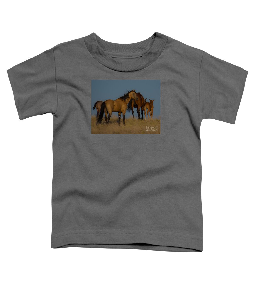 Horse Toddler T-Shirt featuring the photograph Horses 1 by Christy Garavetto
