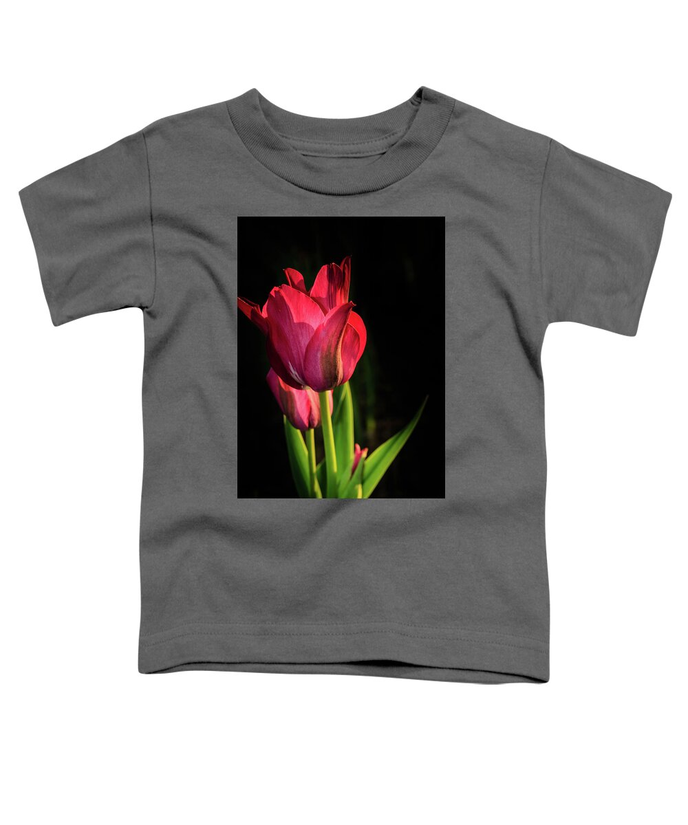 Illinois Toddler T-Shirt featuring the photograph Hot Pink Tulip on Black by Joni Eskridge