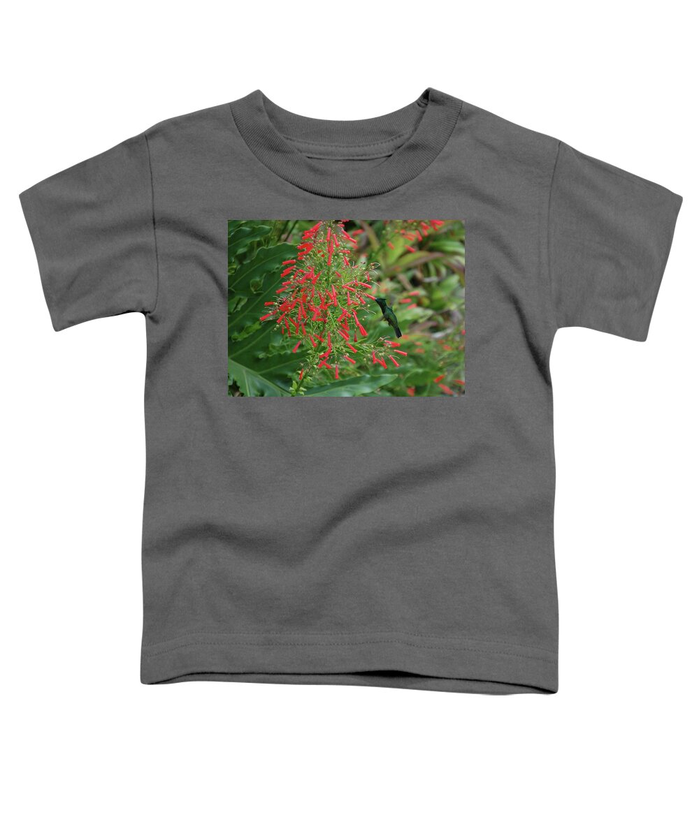 Alabama Photographer Toddler T-Shirt featuring the digital art Humming Bird and Red Flowers by Michael Thomas