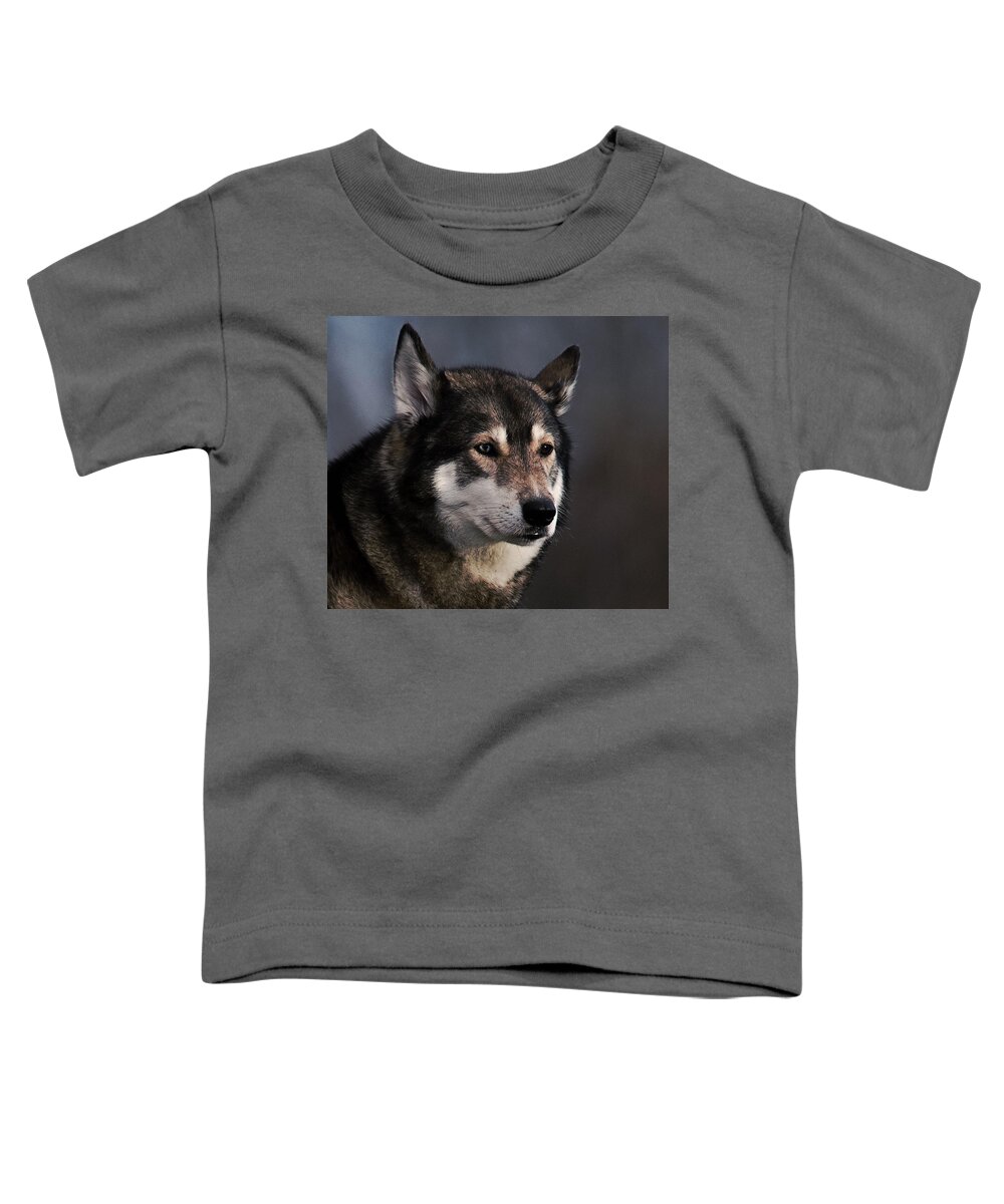 Husky Toddler T-Shirt featuring the photograph Husky by Newwwman