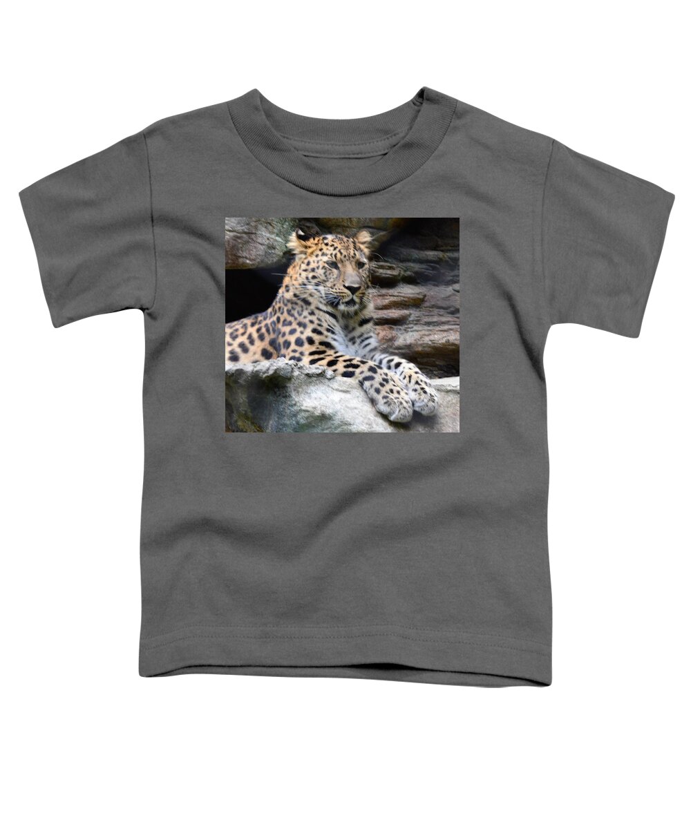 Animals Toddler T-Shirt featuring the photograph I See You by Charles HALL