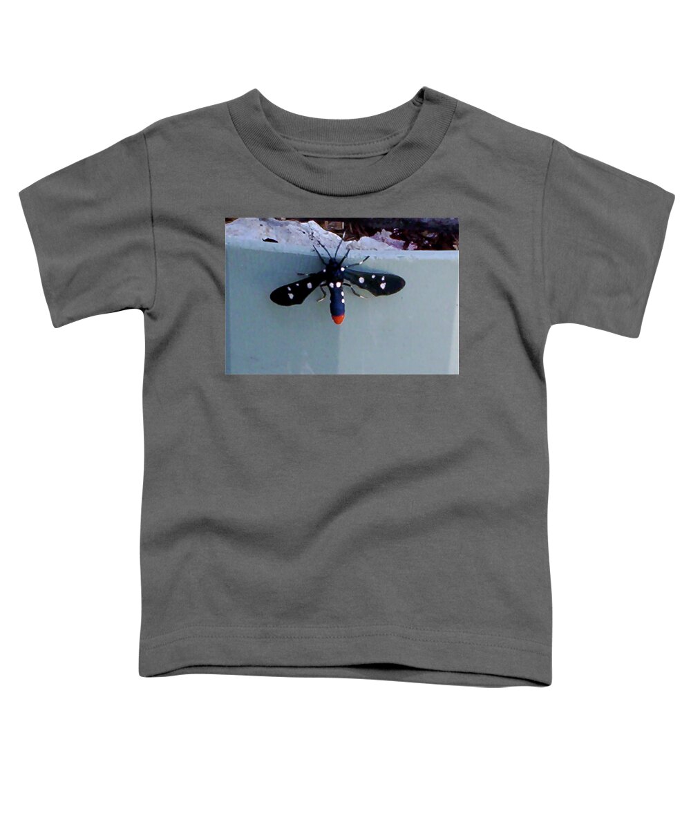  Toddler T-Shirt featuring the photograph I Spy by Suzanne Udell Levinger