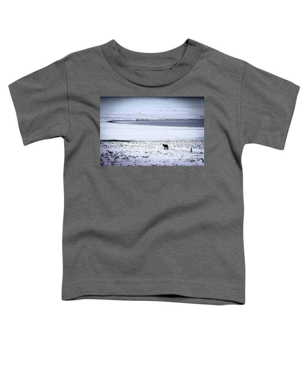 Iceland Toddler T-Shirt featuring the photograph Icelandic Horse by Peter OReilly