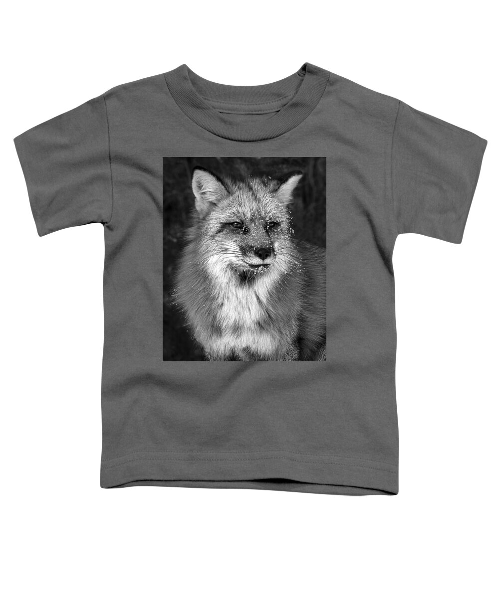 Icy Fox Toddler T-Shirt featuring the photograph Icy Fox by Wes and Dotty Weber