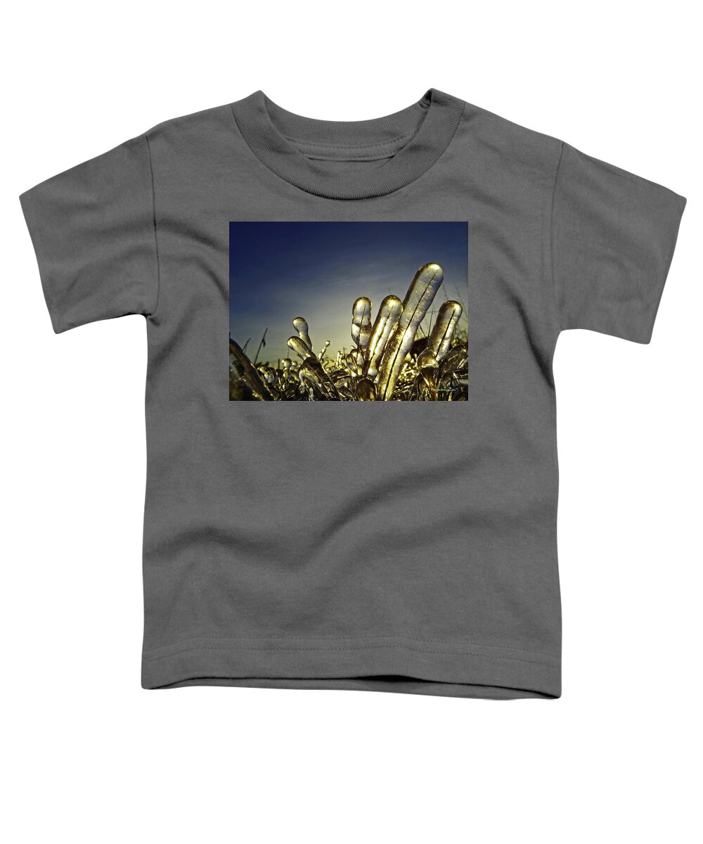 Nature Toddler T-Shirt featuring the photograph Icy Lawn by Harold Zimmer