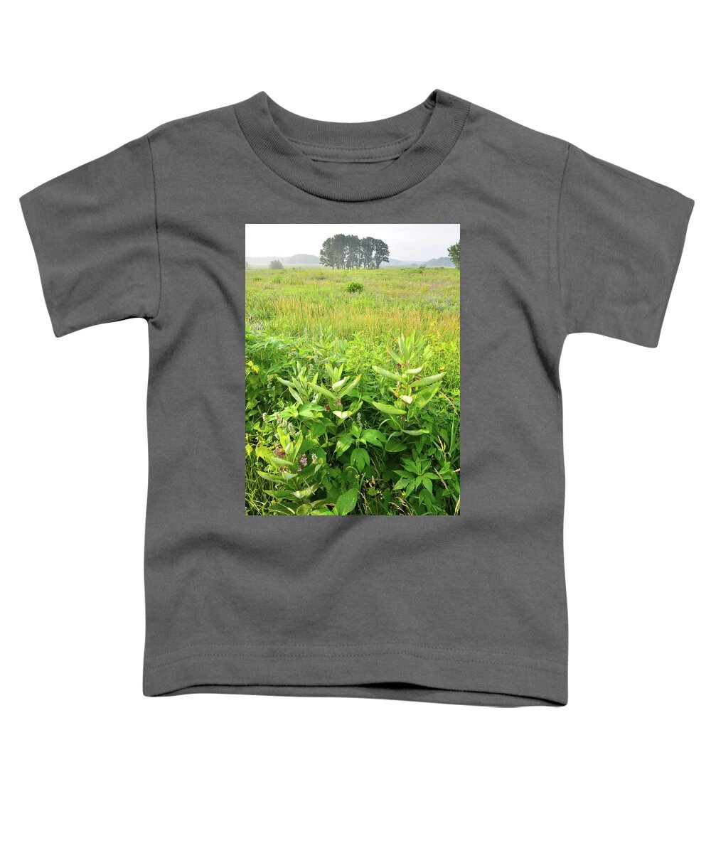 Black Eyed Susan Toddler T-Shirt featuring the photograph Illinois Native Prairie by Ray Mathis