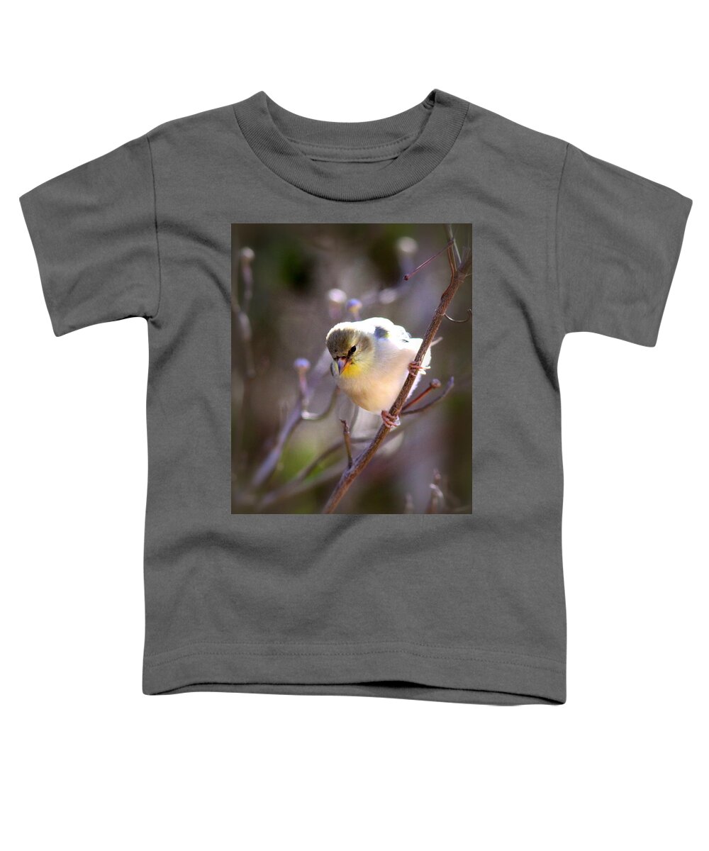 American Goldfinch Toddler T-Shirt featuring the photograph IMG_3888-004 - American Goldfinch by Travis Truelove