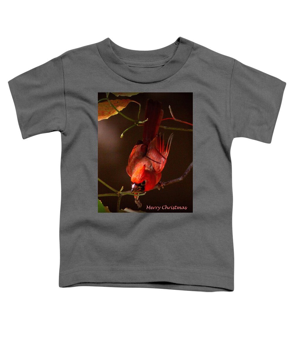 Northern Cardinal Toddler T-Shirt featuring the photograph IMG_4217-001 - Northern Cardinal Christmas Card by Travis Truelove