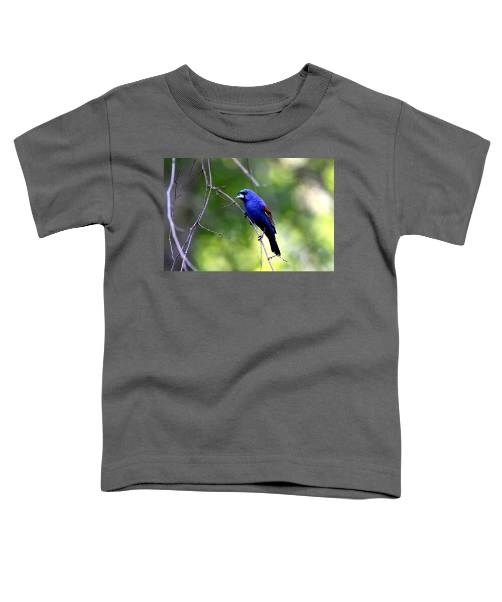 Blue Grosbeak Toddler T-Shirt featuring the photograph IMG_5699-004 - Blue Grosbeak by Travis Truelove