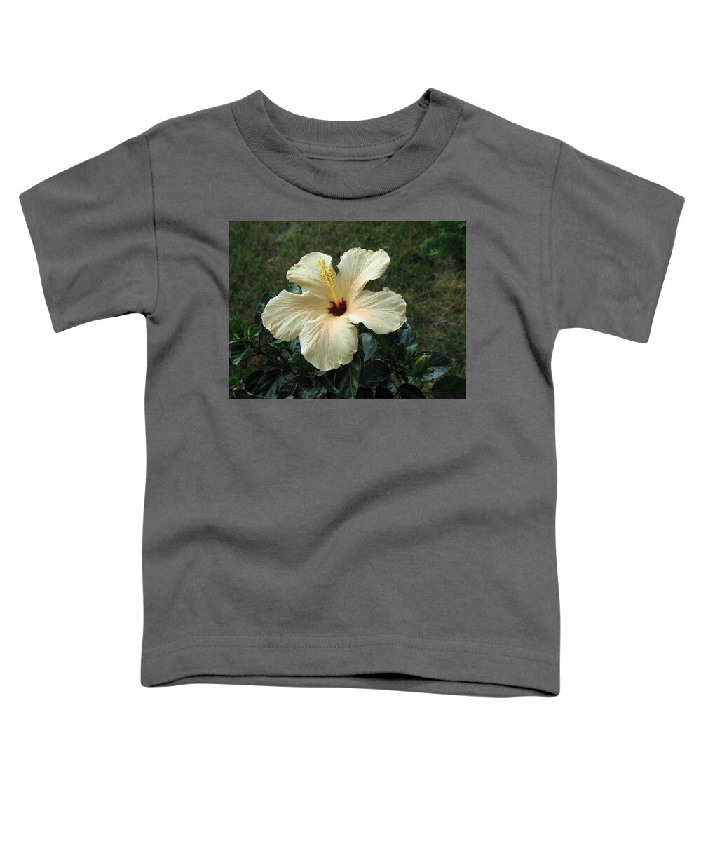 Flowers Toddler T-Shirt featuring the photograph In Bloom by Ed Smith