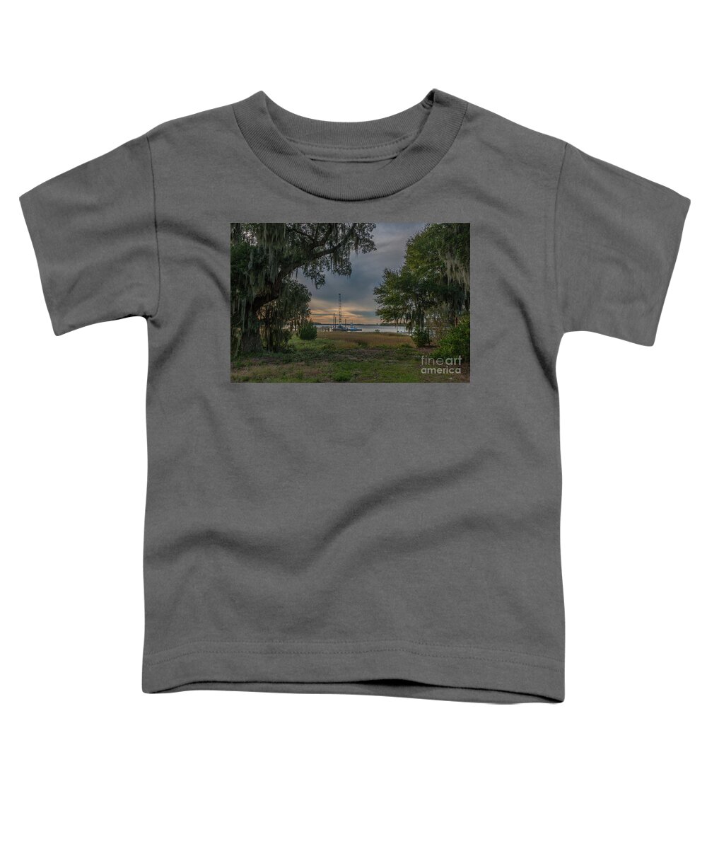 Live Oak Tree Toddler T-Shirt featuring the photograph In Progress by Dale Powell