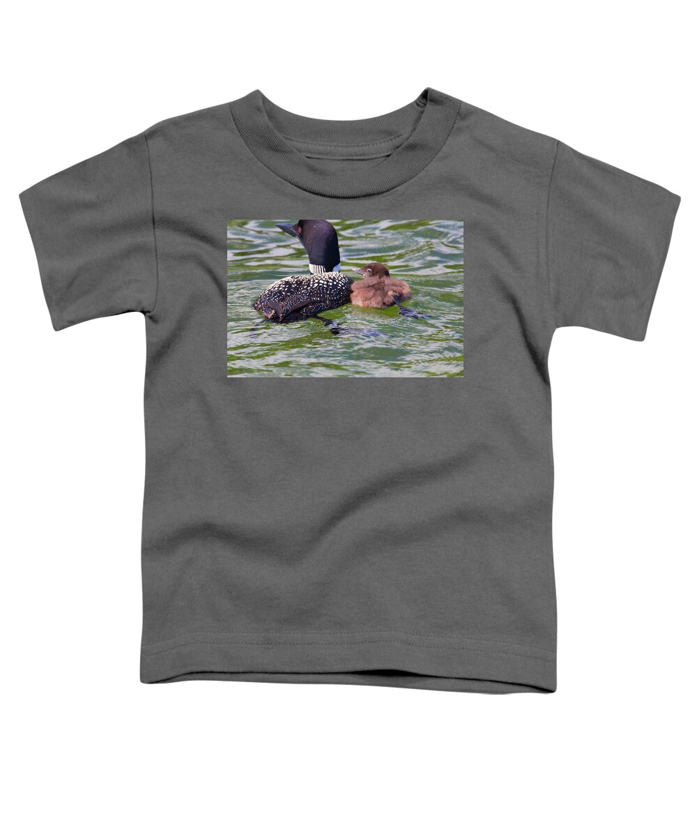 Loons Toddler T-Shirt featuring the photograph In Sync by Nancy Dunivin