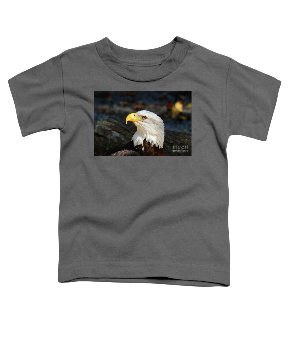 Bald Eagle Toddler T-Shirt featuring the photograph In The Eye Of A Raptor by Christiane Schulze Art And Photography