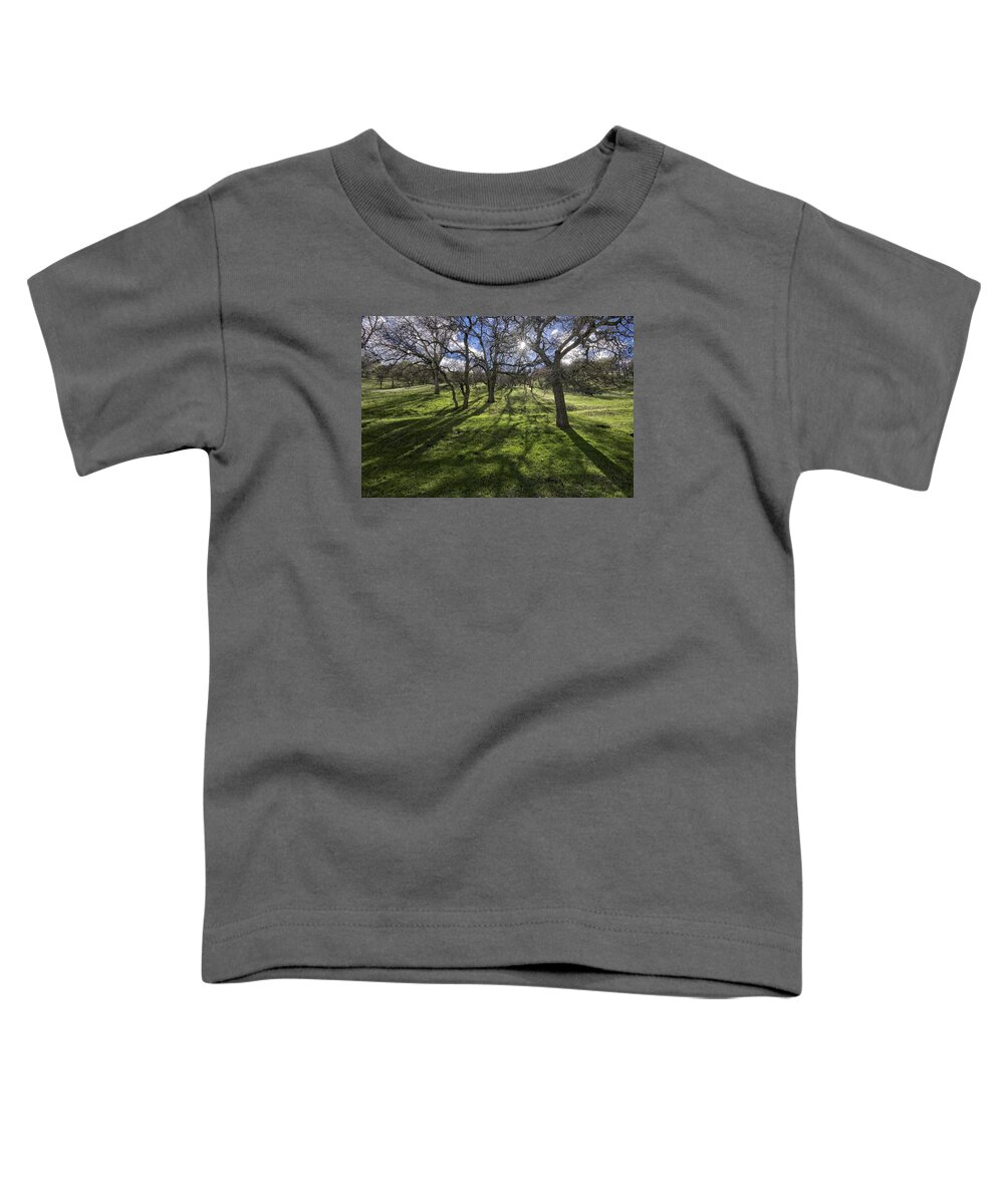 Brentwood Toddler T-Shirt featuring the photograph In the Shadows by Robin Mayoff