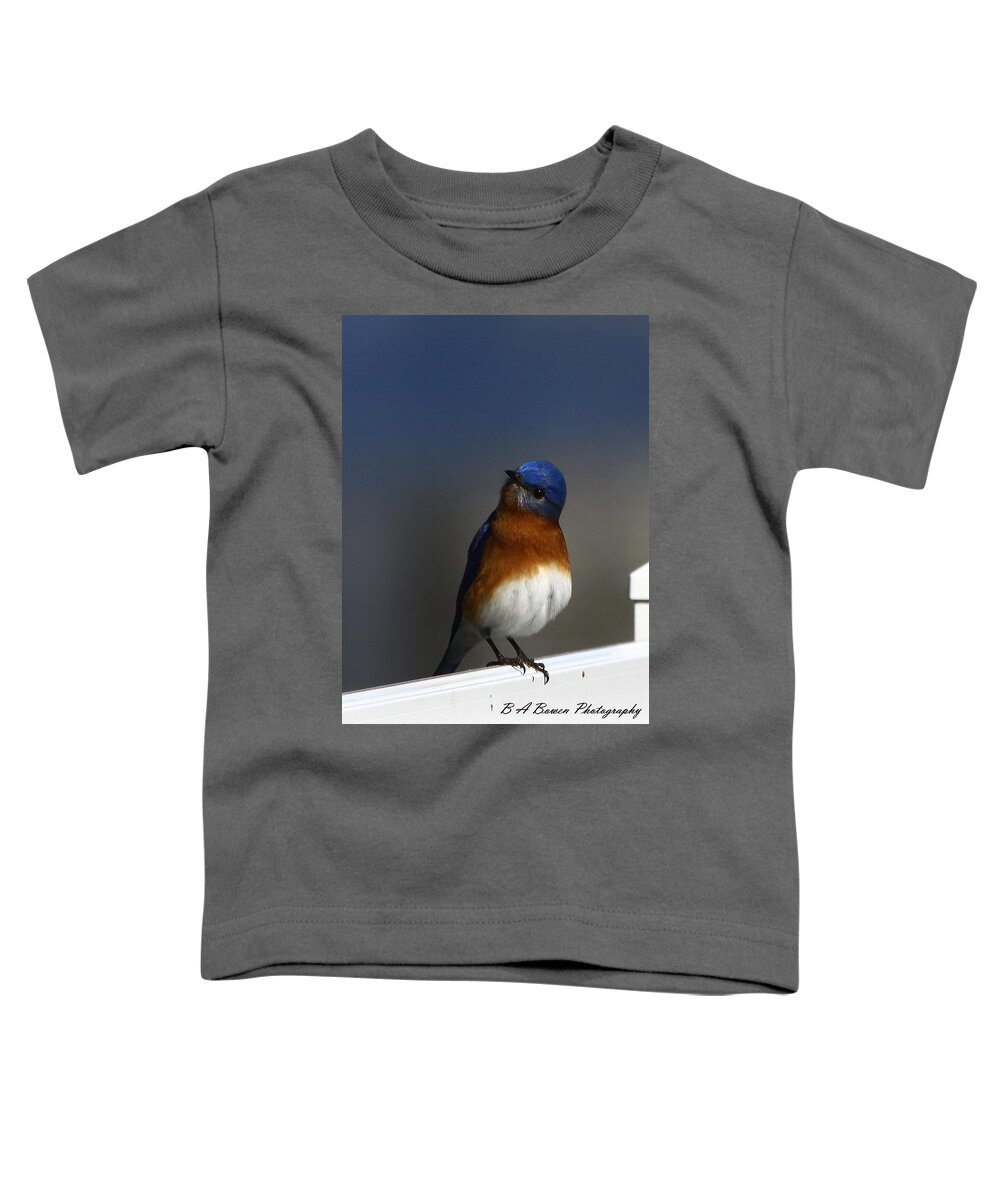 Eastern Bluebird Toddler T-Shirt featuring the photograph Inquisitive Bluebird by Barbara Bowen