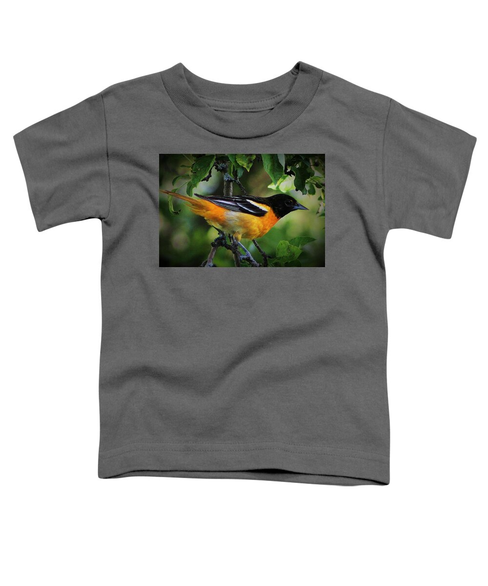 Oriole Toddler T-Shirt featuring the photograph Inquisitive Oriole by Bruce Bley