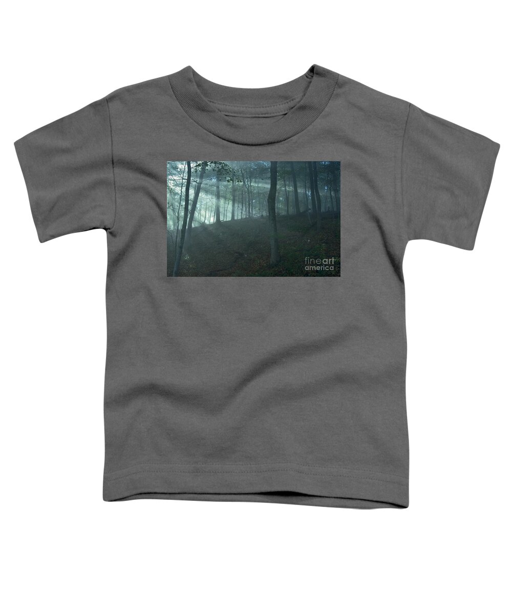 Forest Toddler T-Shirt featuring the photograph Iowa Fog rays by Sven Brogren