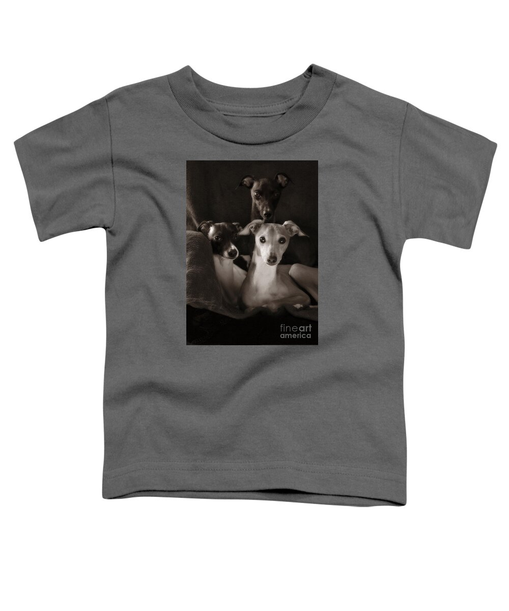 Black And White Toddler T-Shirt featuring the photograph Italian Greyhound Trio in Black and White by Angela Rath