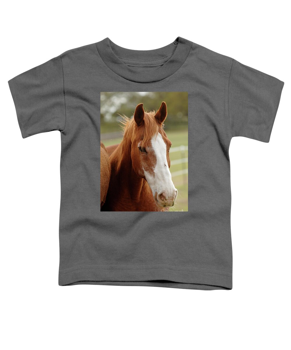 Jake Toddler T-Shirt featuring the photograph Jake by Carien Schippers