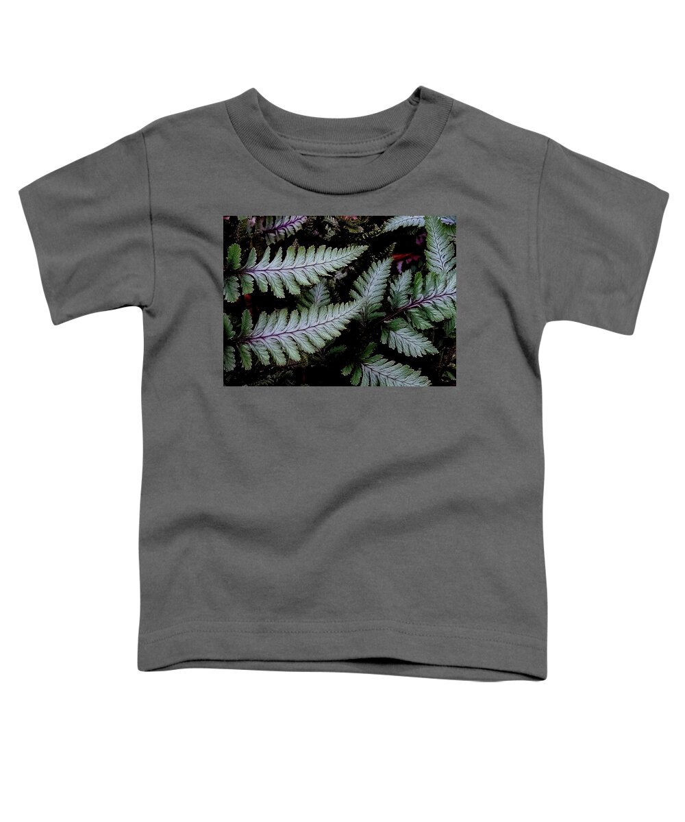 Japanese Painted Fern Toddler T-Shirt featuring the photograph Japanese Painted Fern by Allen Nice-Webb