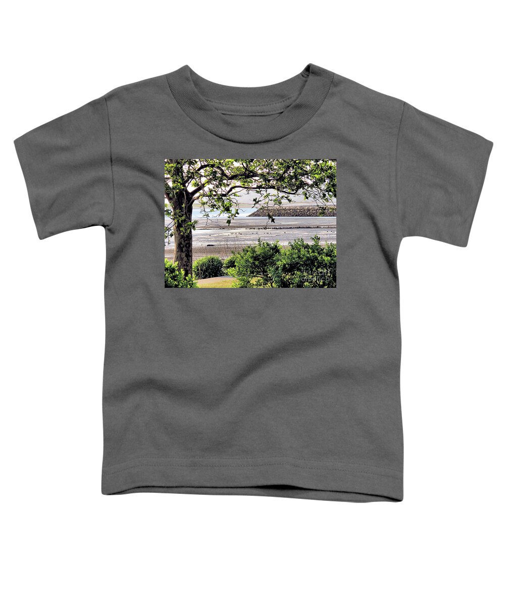 Low Tide Toddler T-Shirt featuring the photograph June Low Tide by Janice Drew