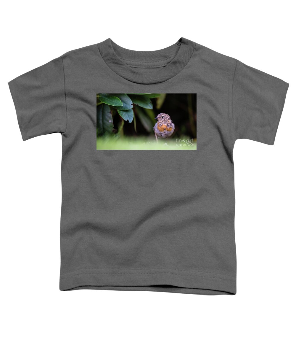 Robin Toddler T-Shirt featuring the photograph Juvenile Robin by Torbjorn Swenelius