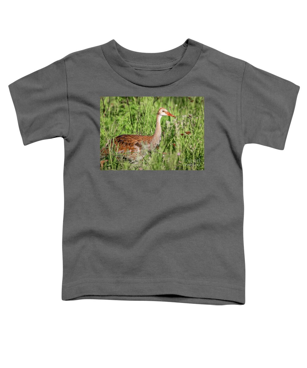 Crane Toddler T-Shirt featuring the photograph Juvenile Sandhill by Tom Claud