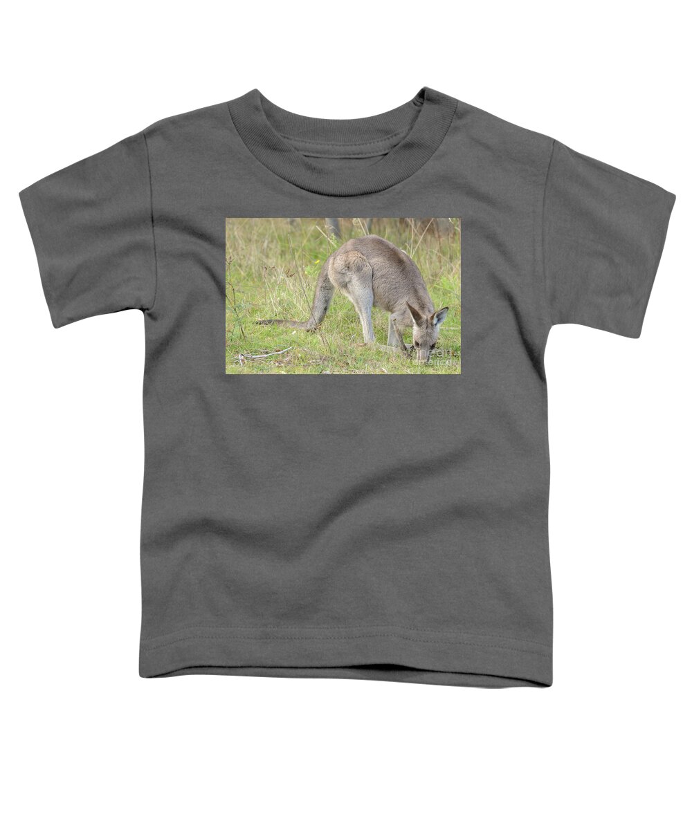 Wildlife Toddler T-Shirt featuring the photograph Kangaroo 5 by Werner Padarin