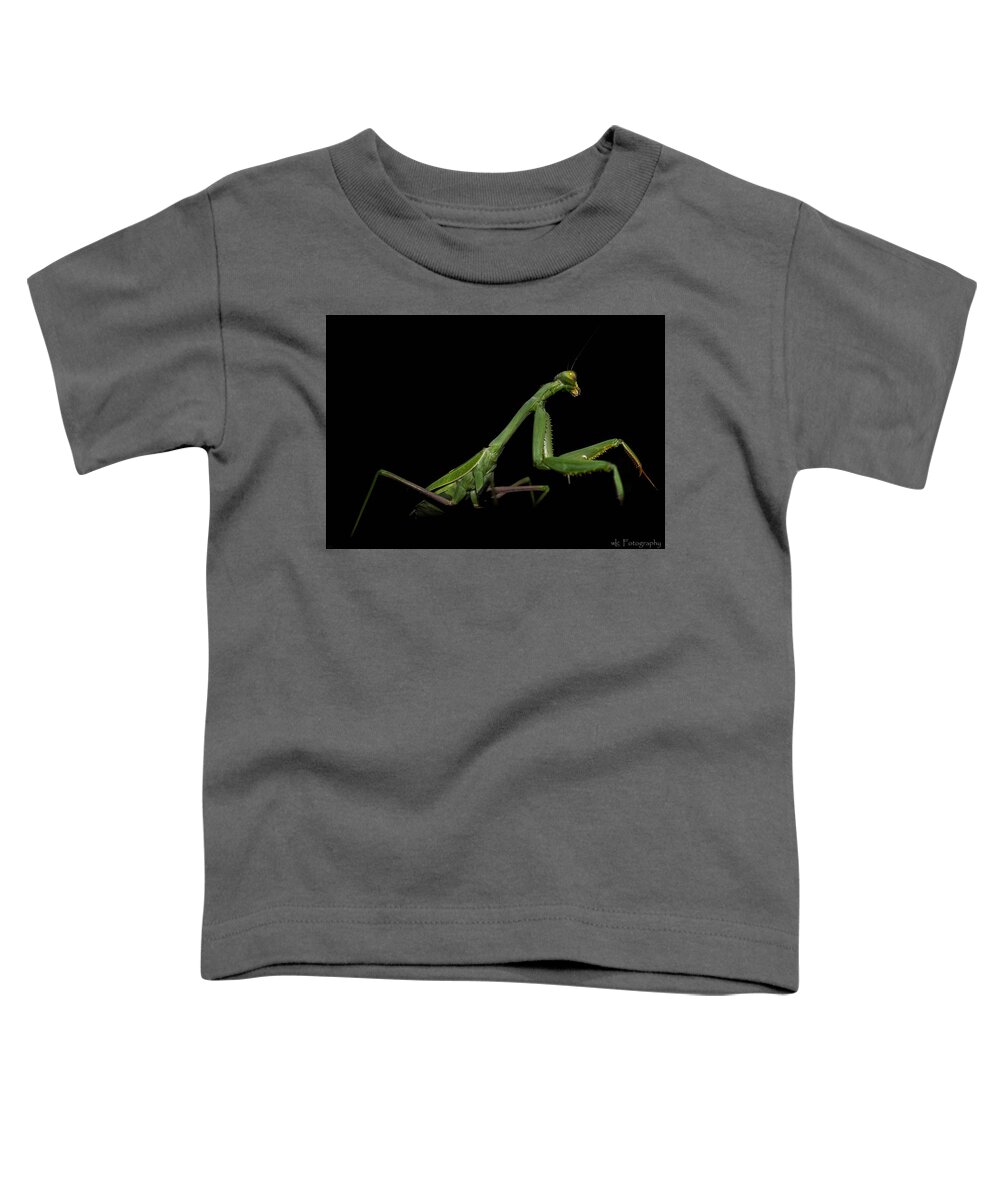 Insects Toddler T-Shirt featuring the photograph Katydid in Black by Wendy Carrington