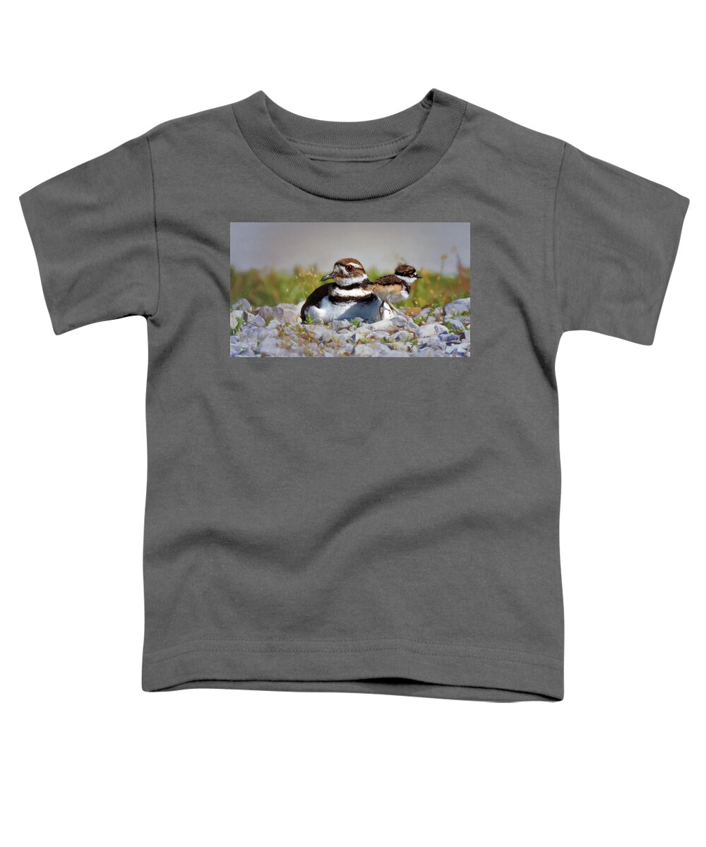 Killdeer Toddler T-Shirt featuring the photograph Killdeer and Chick by Susan Rissi Tregoning