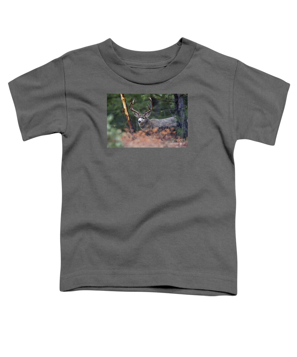 Deer Toddler T-Shirt featuring the photograph King Behind the Rub by Douglas Kikendall