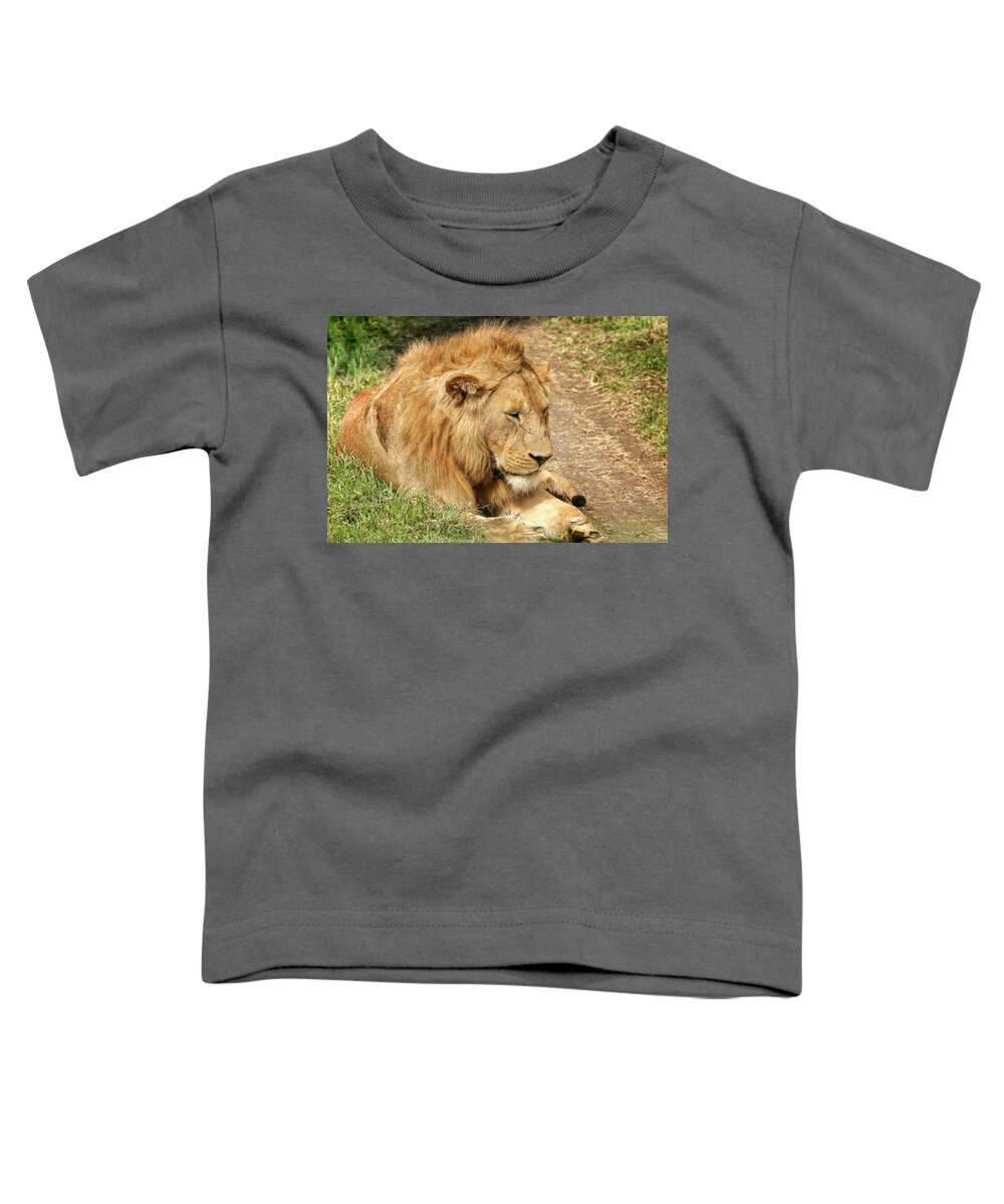 Gary Hall Toddler T-Shirt featuring the photograph King of the Serengeti by Gary Hall