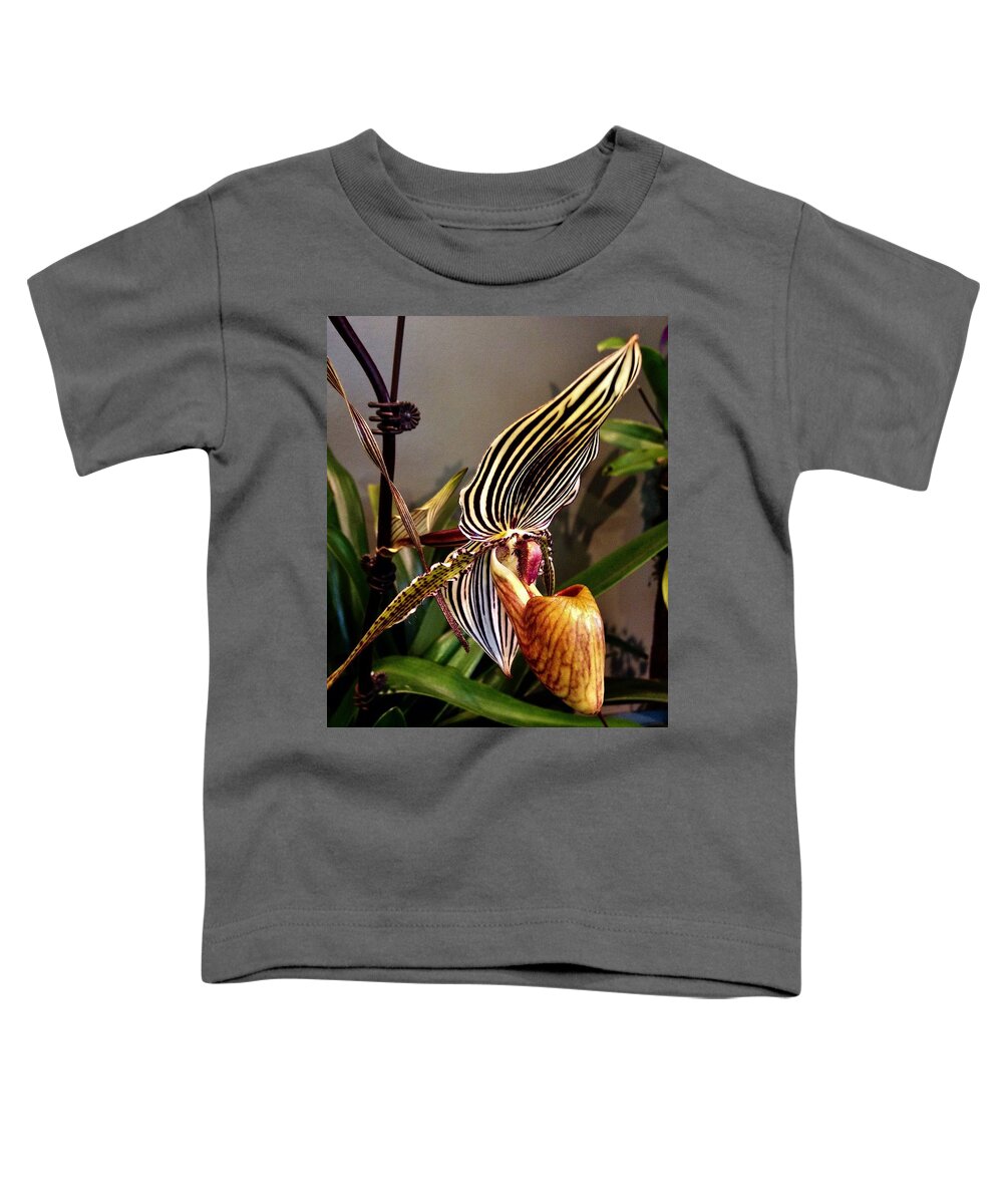 Lady Slipper Toddler T-Shirt featuring the photograph Lady Slipper Orchid by Bruce Bley