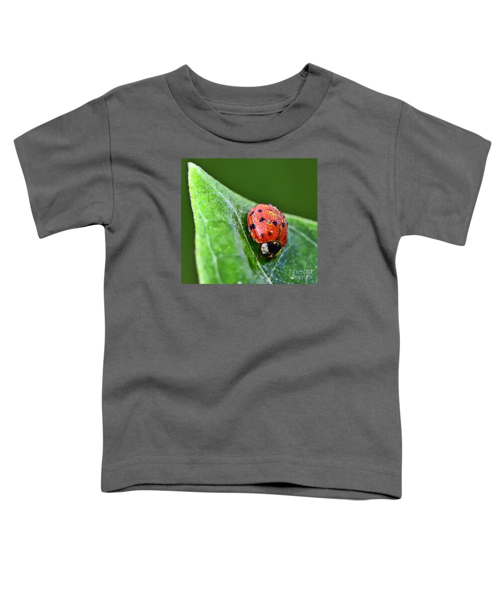 Ladybug Toddler T-Shirt featuring the photograph Ladybug with Dew Drops by Kerri Farley