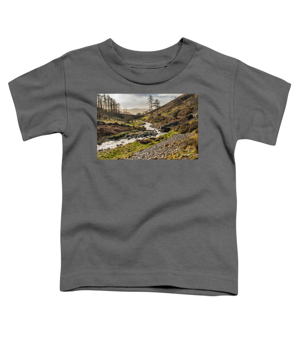 Stream - Mountains - Sky - Trees - Bridge Toddler T-Shirt featuring the photograph Lakeland Stream by Chris Horsnell