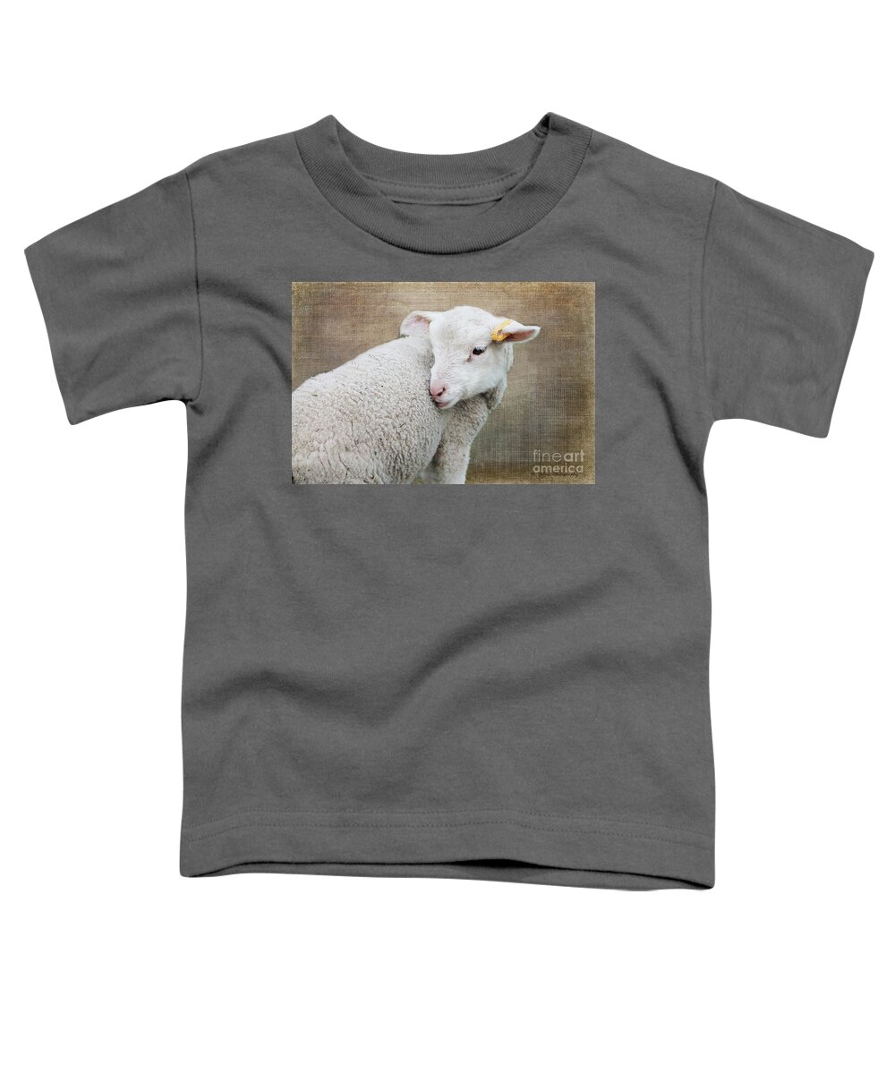 Lamb Toddler T-Shirt featuring the photograph Lamb Lament 2 by Nina Silver