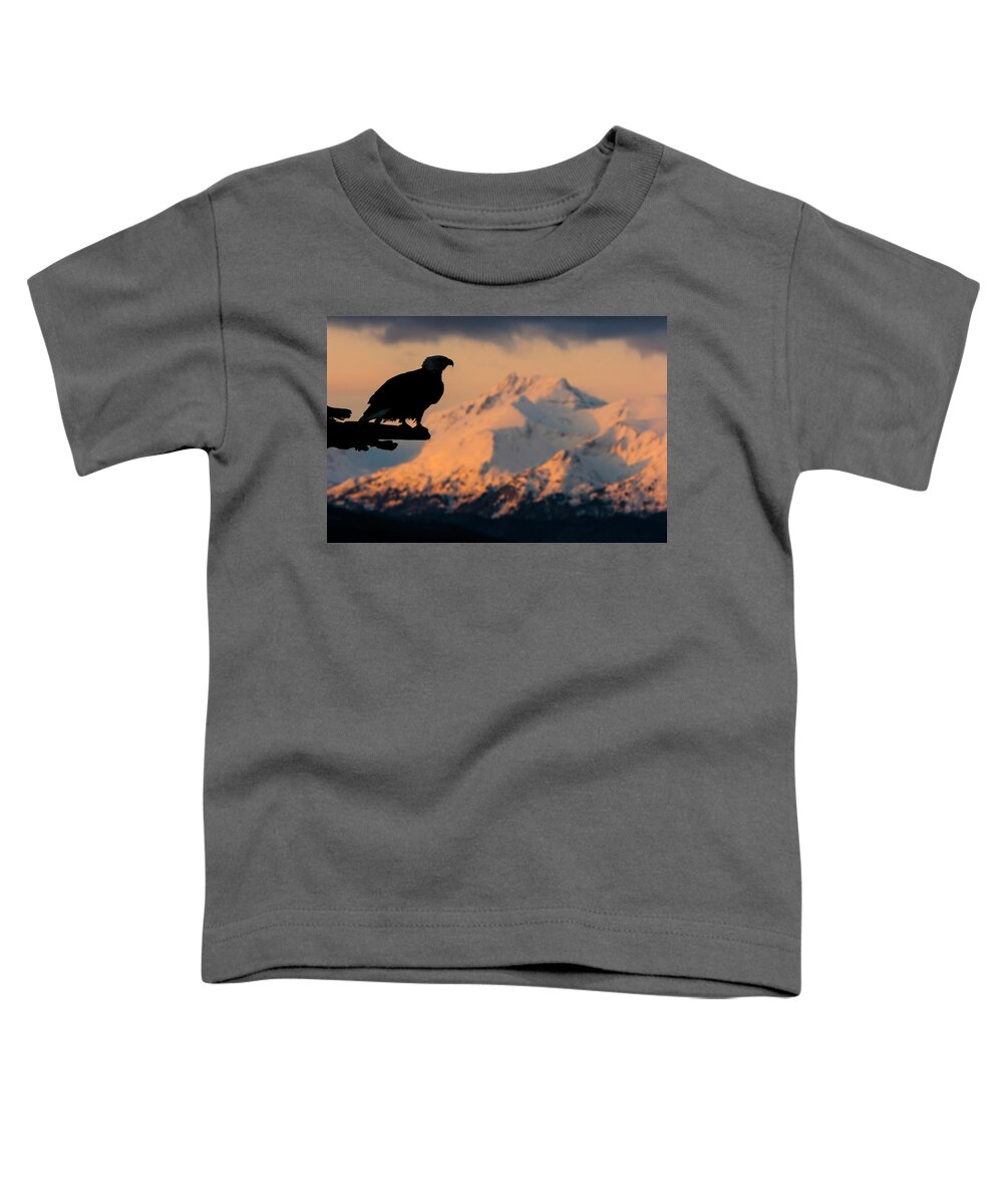 Eagle Toddler T-Shirt featuring the photograph Last Light Bald Eagle by Mark Miller