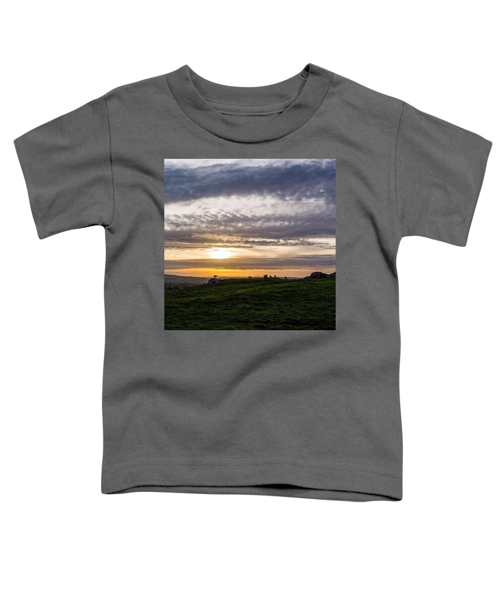 Sheep Toddler T-Shirt featuring the photograph Last One From The Country... We (donna by Aleck Cartwright