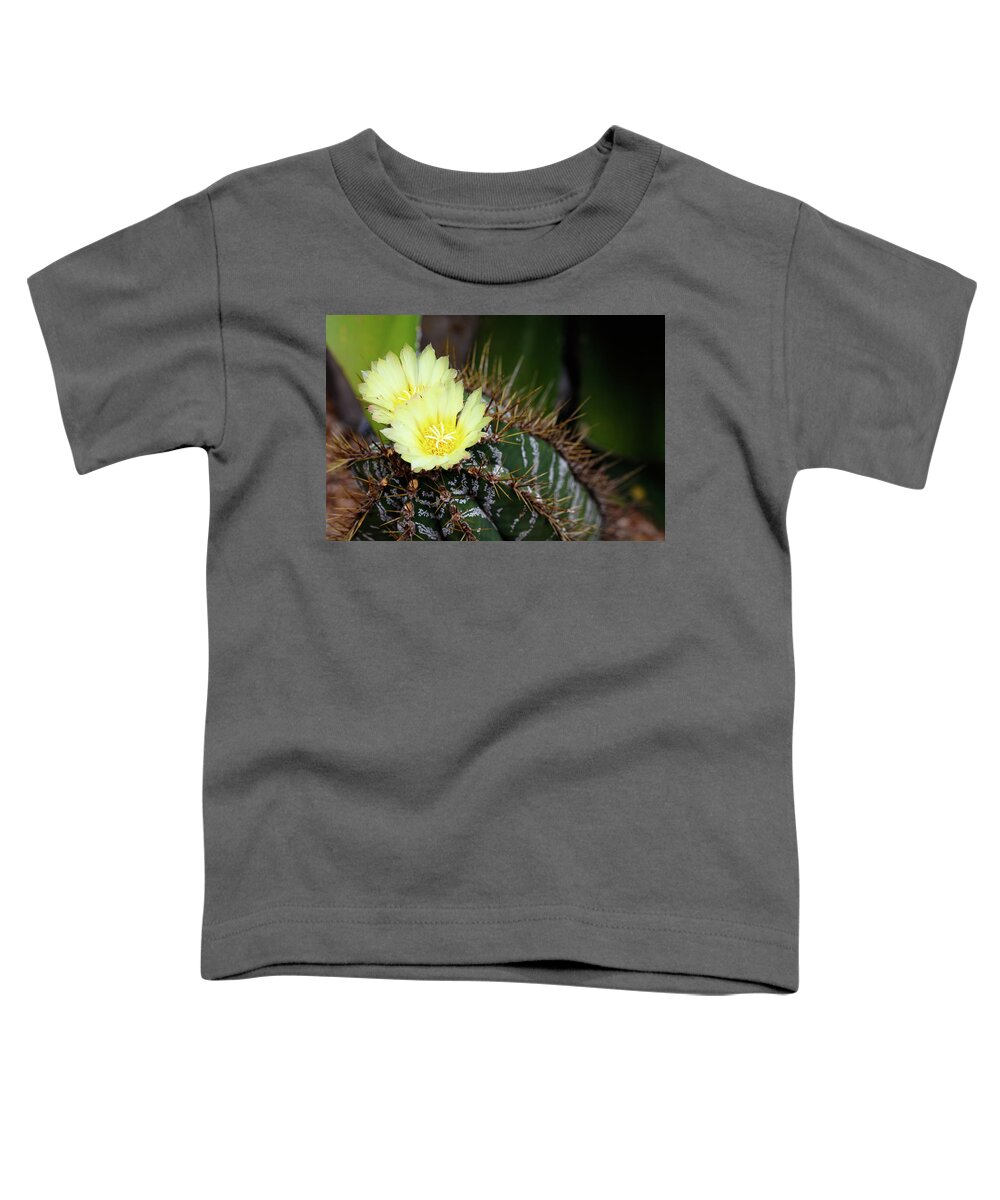 Monks Hood Cactus Toddler T-Shirt featuring the photograph Late Bloomer by Raul Rodriguez