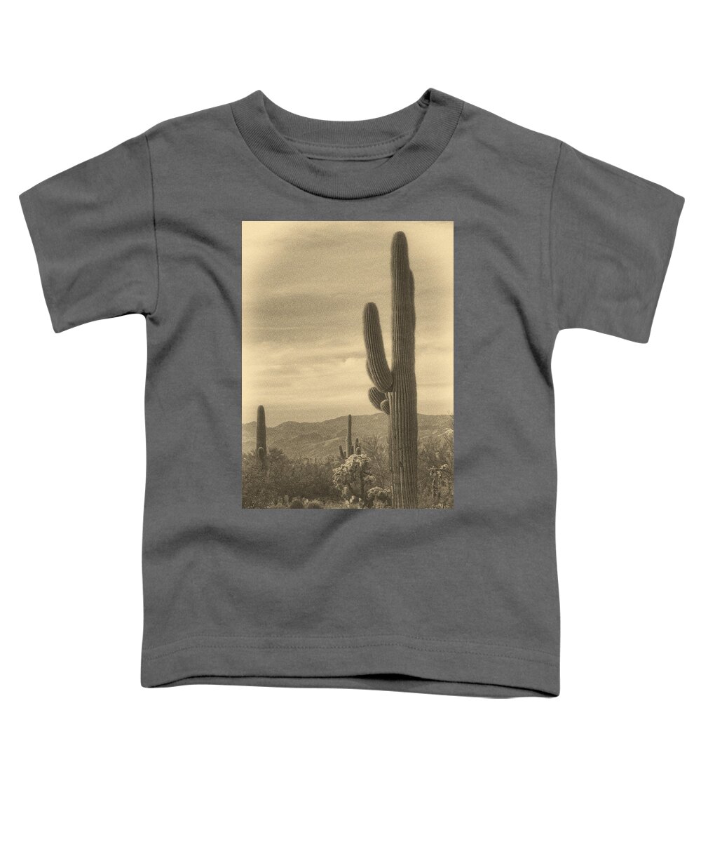 Saguaro Cacti Toddler T-Shirt featuring the photograph Late Light on Saguaro ant by Theo O'Connor