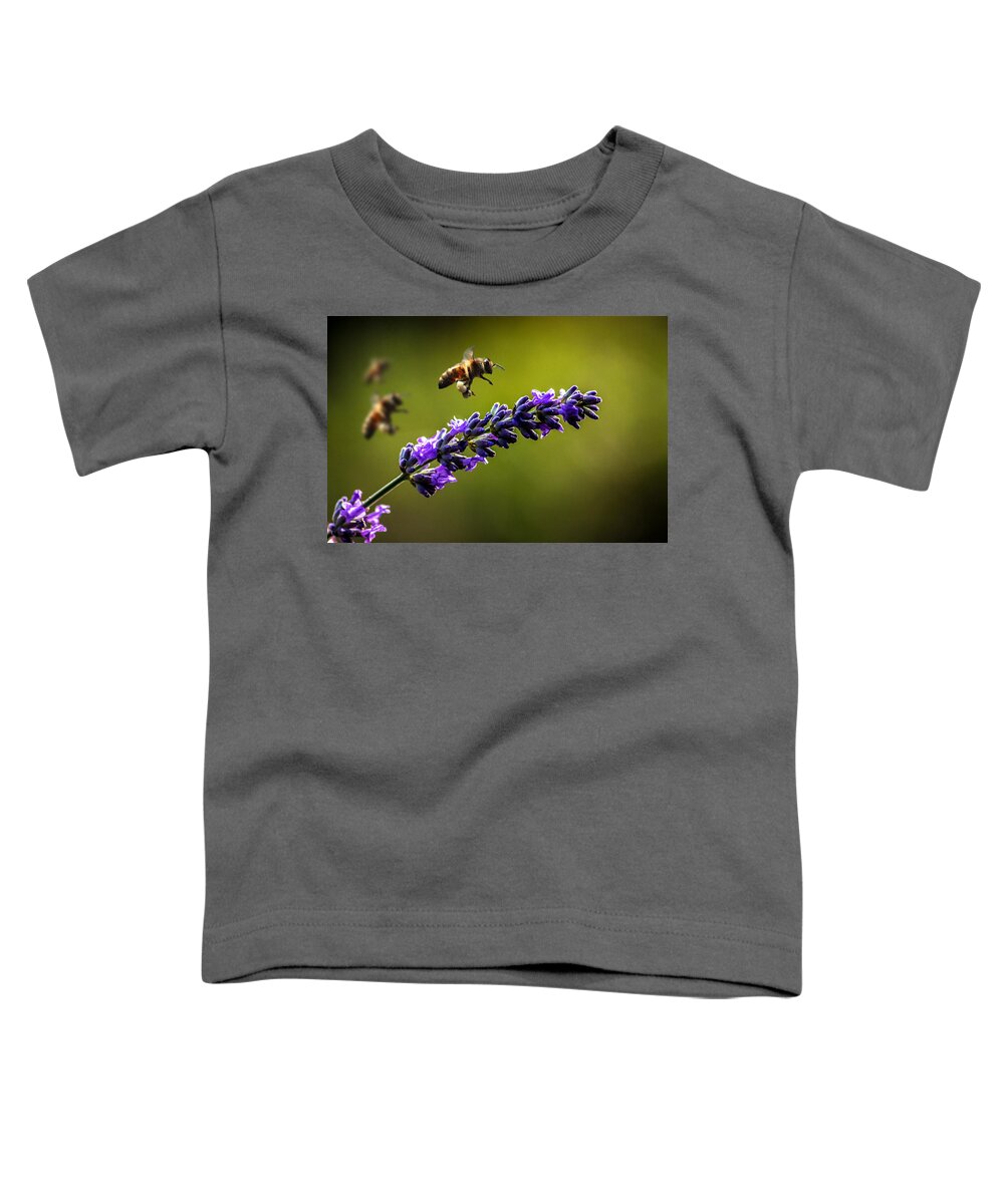 Bee Toddler T-Shirt featuring the photograph Lavender by Martin Newman