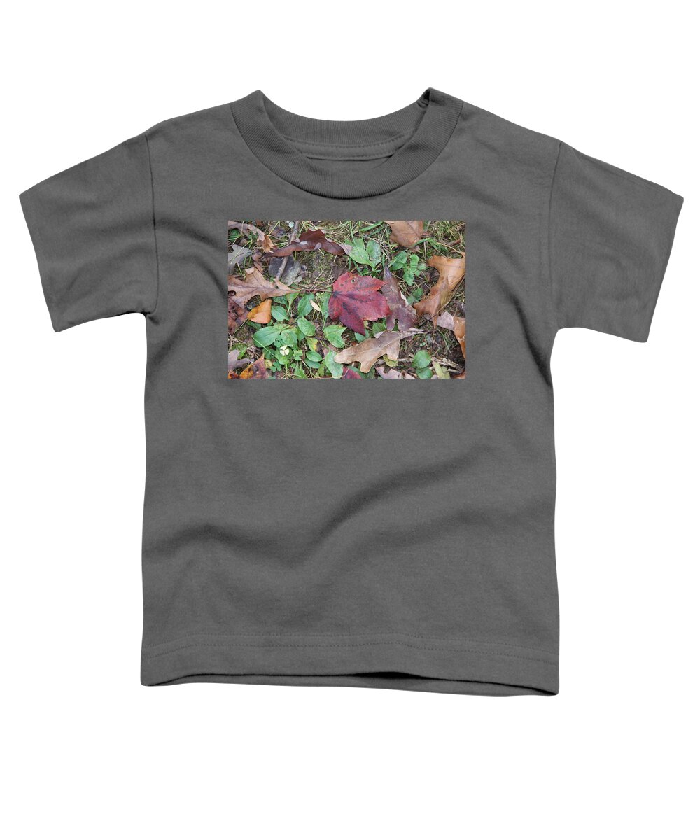 Leaf Toddler T-Shirt featuring the photograph Leaf Standing Out in a Crowd by Allen Nice-Webb