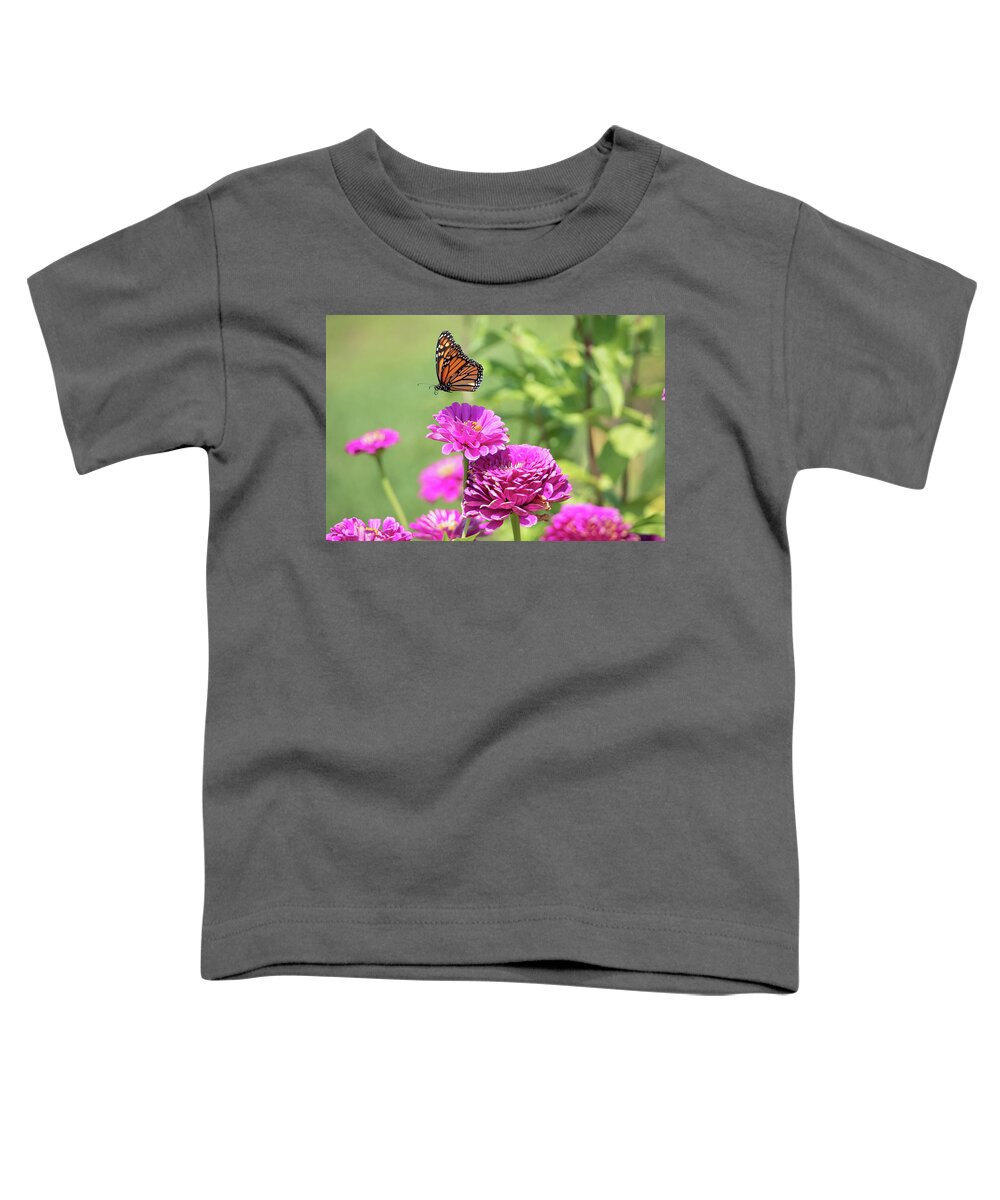 Butterfly Flying Flight Mid-air Mid Air Monarch Inset Butterflies Flowers Garden Botany Botanical Outside Outdoors Nature Natural Brian Hale Brianhalephoto Ma Mass Massachusetts Newengland New England U.s.a. Usa Toddler T-Shirt featuring the photograph Leaping Butterfly by Brian Hale