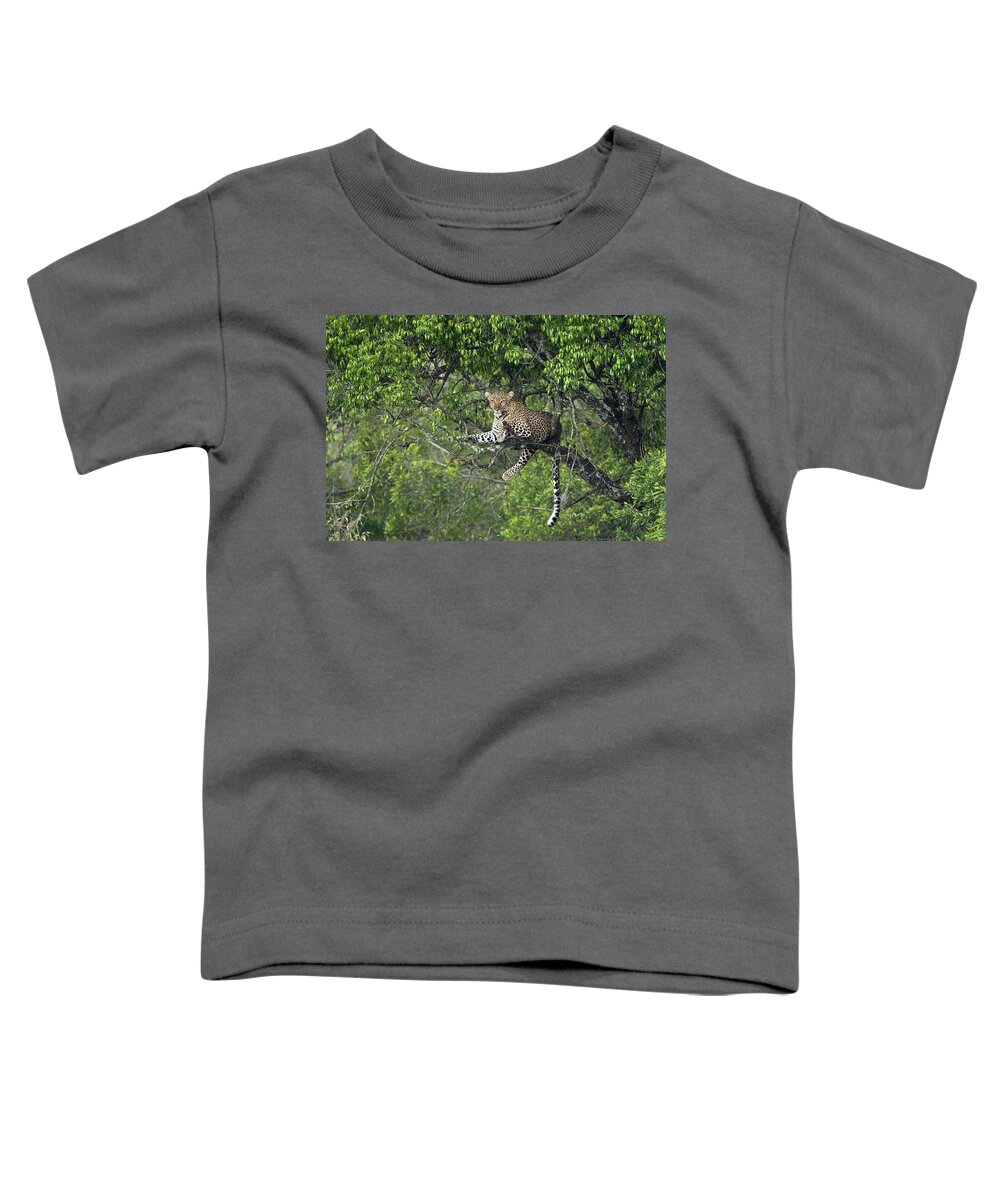 00442335 Toddler T-Shirt featuring the photograph Leopard Resting In Tree Masai Mara Kenya by Suzi Eszterhas