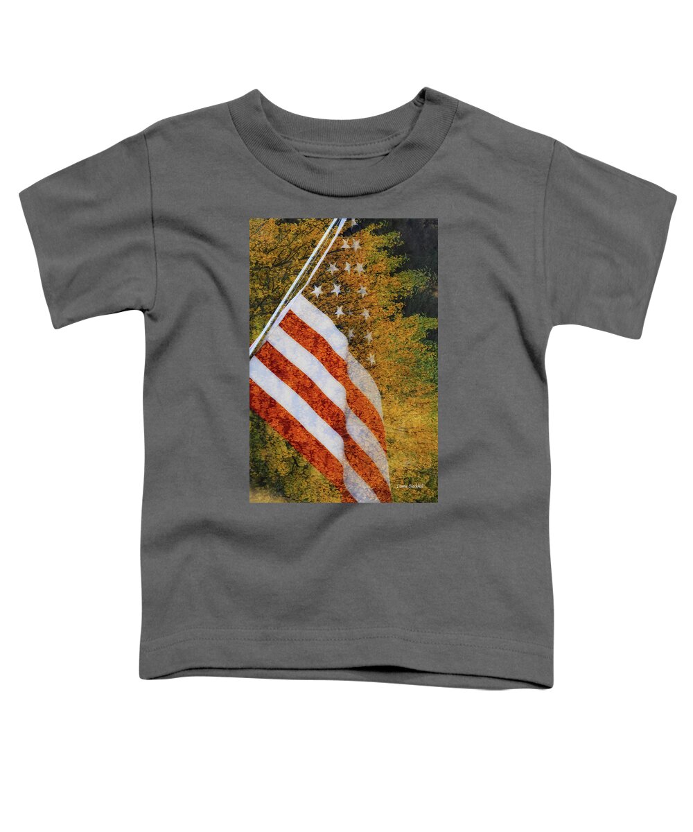 Flag Toddler T-Shirt featuring the photograph Let Freedom Ring by Donna Blackhall